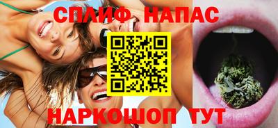 МДПВ Камышлов