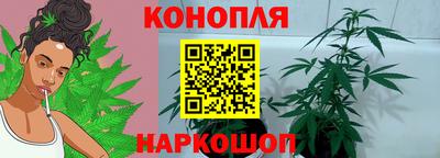 МДПВ Камышлов