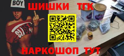 МДПВ Камышлов