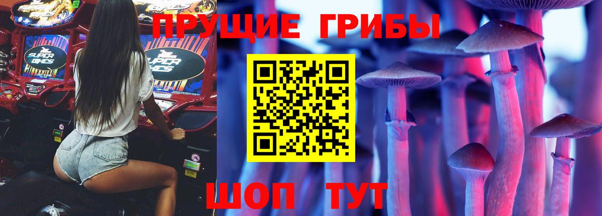 Галлюциногенные грибы прущие грибы  Вход с VPN  Северодвинск 