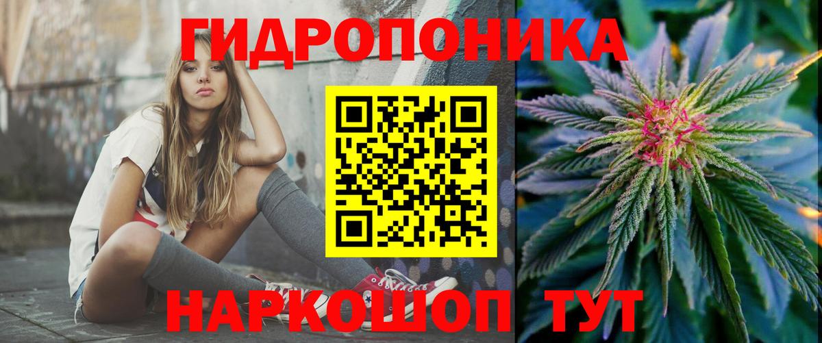 Северодвинск  Конопля AK-47  Шишки марихуана VHQ  Вход с VPN  Канабис VHQ 
